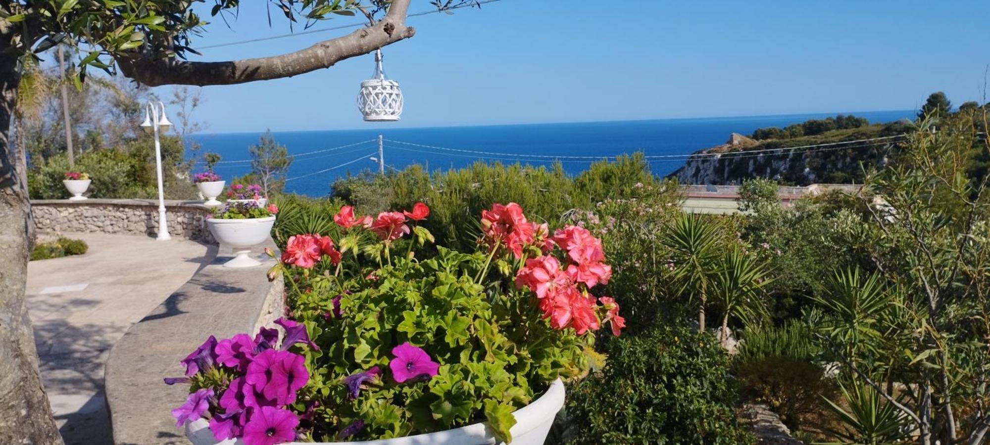 Villa Valeria Corsano  エクステリア 写真